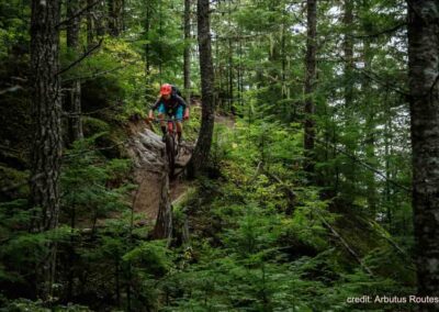 whistler biking