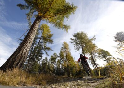 mountainbike Nendaz