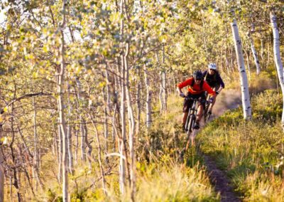 ripping the trails yukon