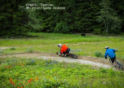 easy riding whistler