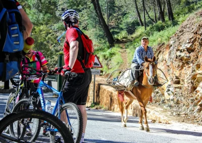 horse rider passing cyclists