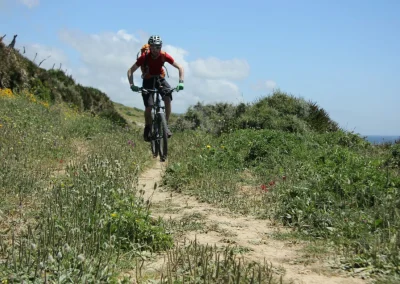 mountain biker riding in Sierra Nevada