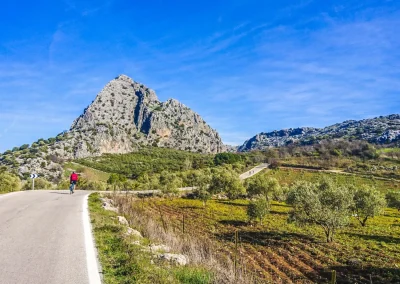 cyclists passing Andalucia vineyard