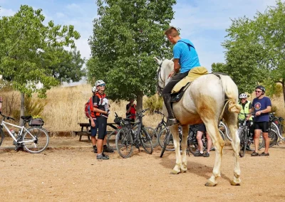 cyclists stopped talking to a horse rider