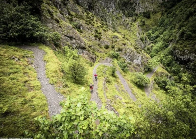 winding path in Camino