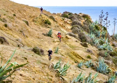 cyclists on hillside near Andalusia