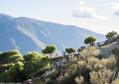 Sierra Nevada mountains