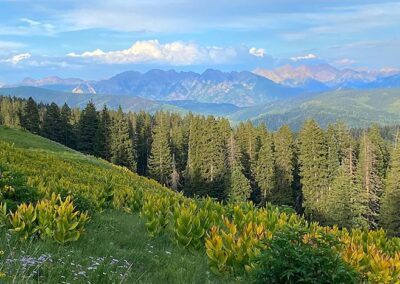 Colorado trail biking
