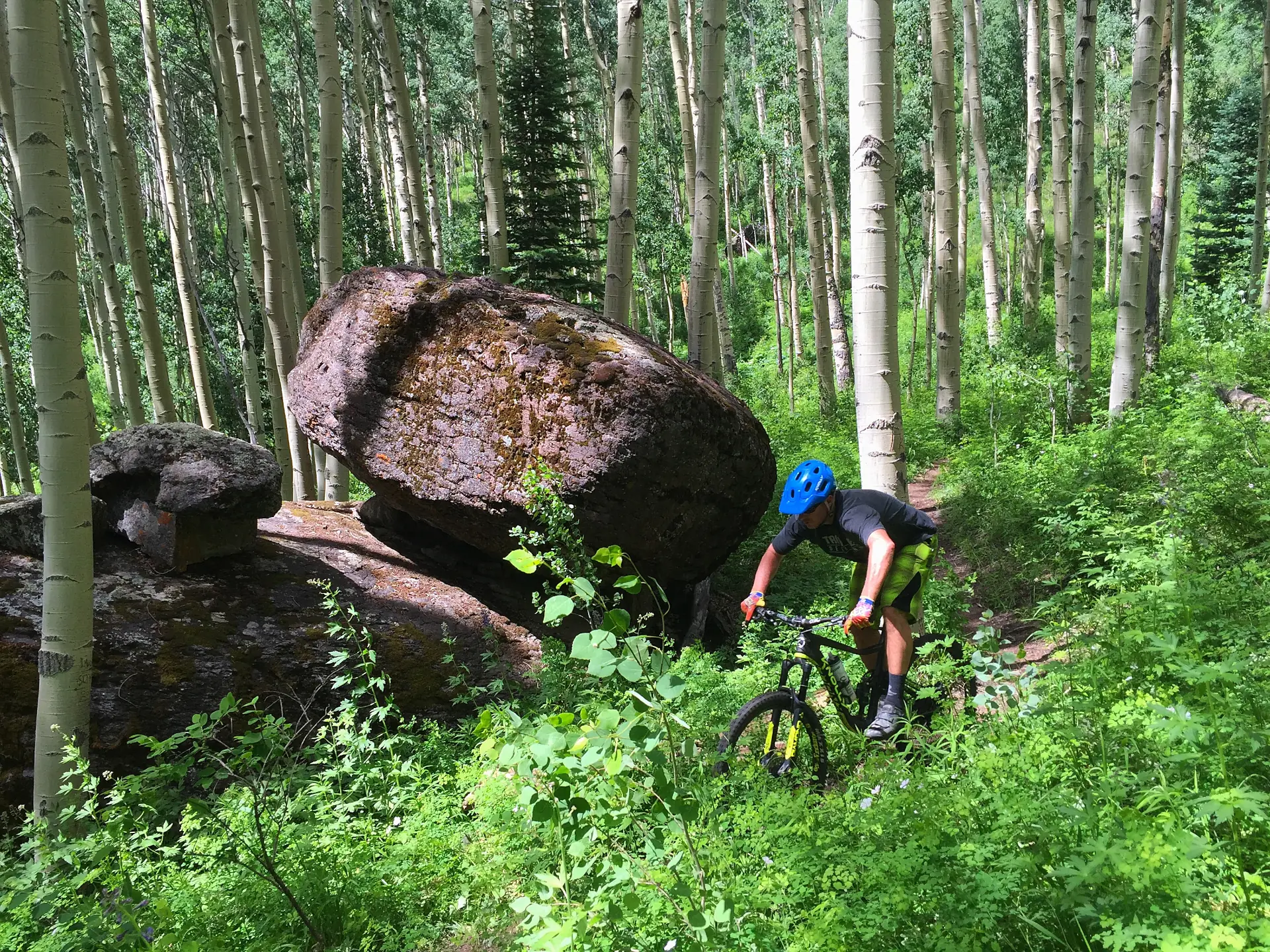 Alberta mountain bike coaching